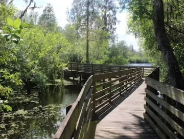 Temple Terrace boardwalk where Native Sons Roofing does many residential roof installs